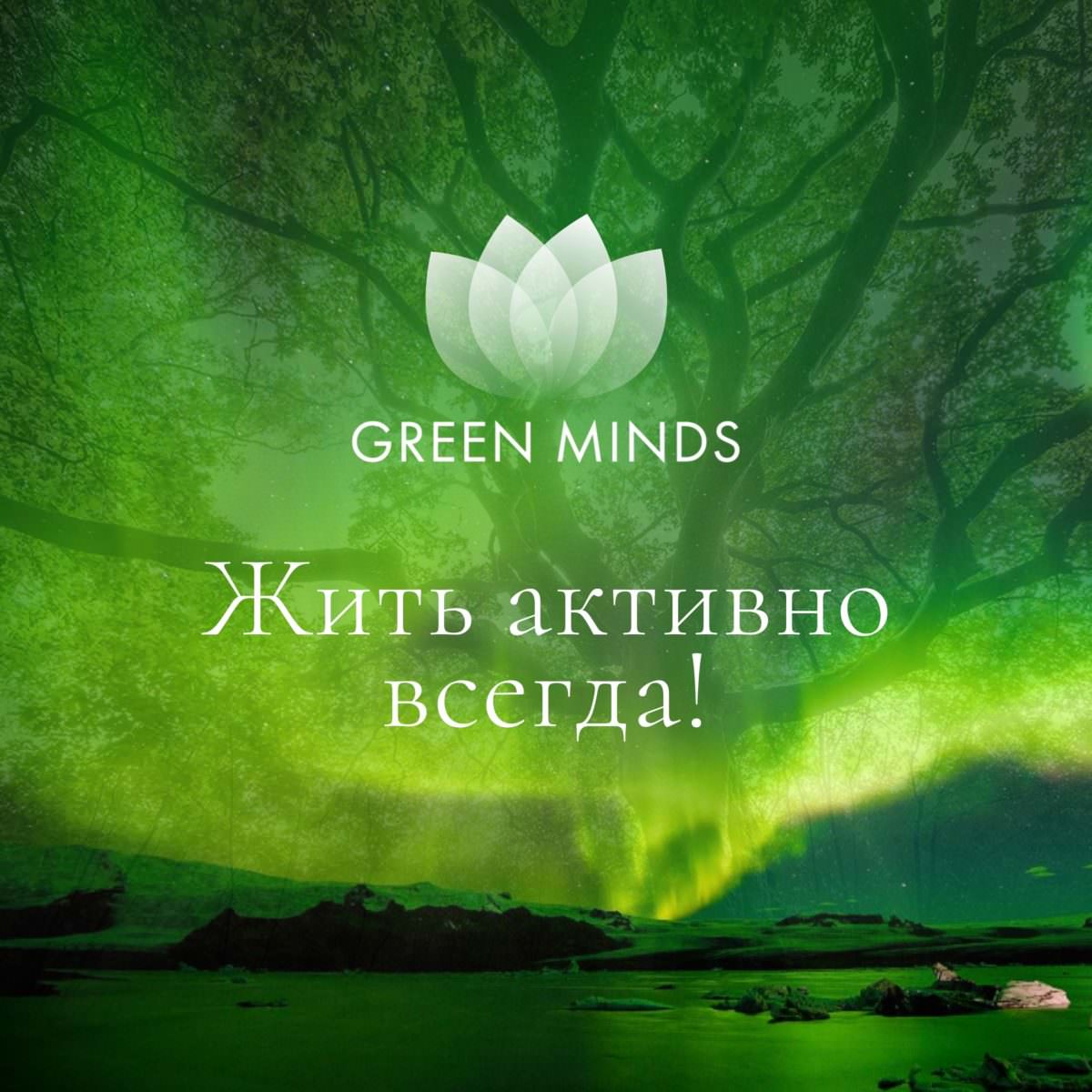 Нейромедитация GREEN MINDS «Жить активно всегда!» по цене 460 руб. - купить  в Санкт-Петербурге ☛ Доставка ★ Интернет-магазин «EcoGreenDom»